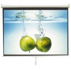 Screen View MWSSV1717L MANUAL WALL SCREEN